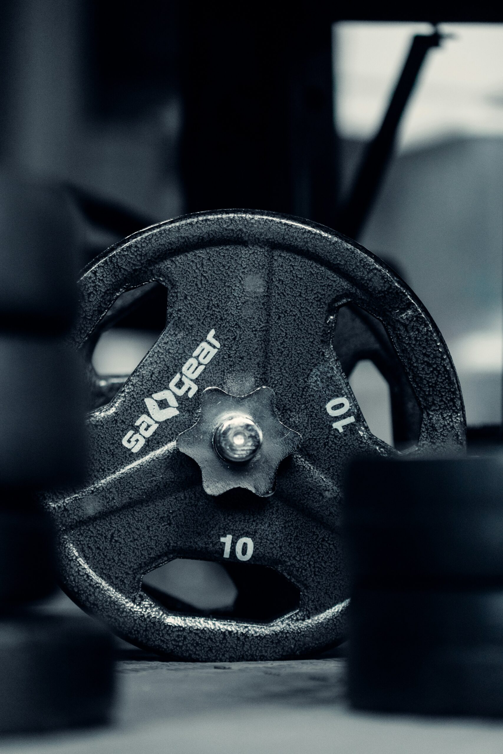 Online fitness workout plans